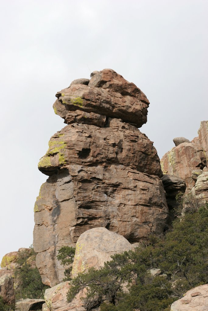 Chiricahua National Monument   2005-03-06