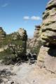 Chiricahua National Monument   2005-03-06