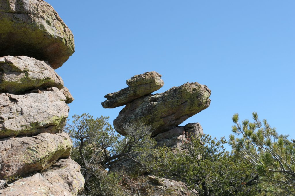 Chiricahua National Monument   2005-03-06