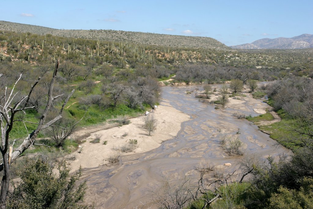 Catalina State Park   2005-03-08