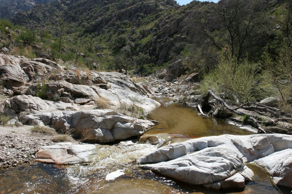 Catalina State Park   2005-03-08