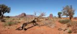 Monument Valley   2005-03-12