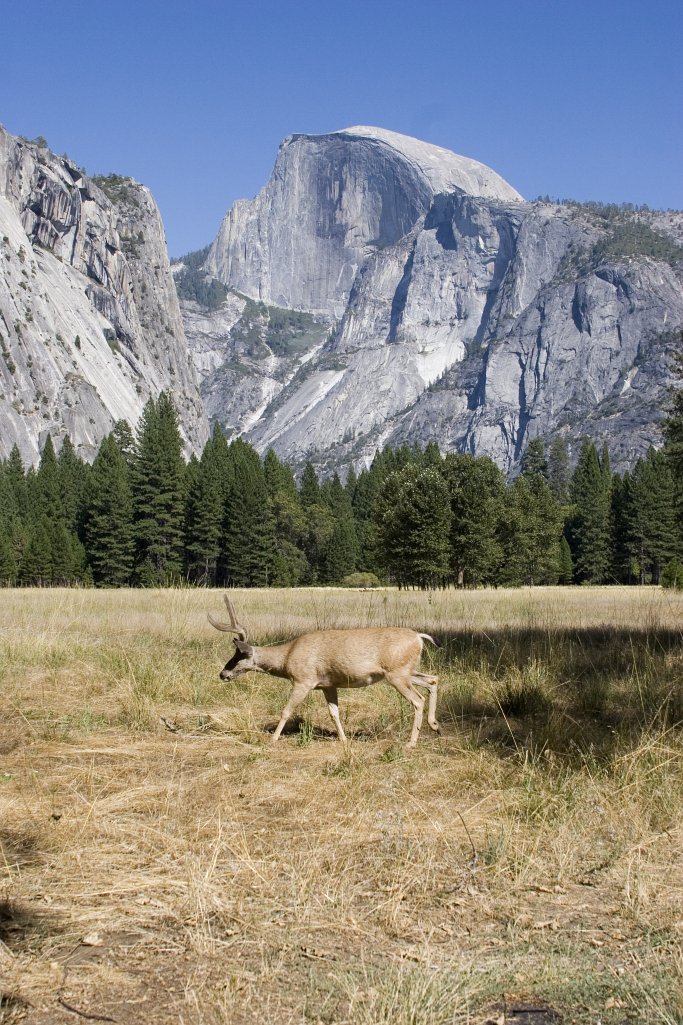 Half-Dome   2006-08-25