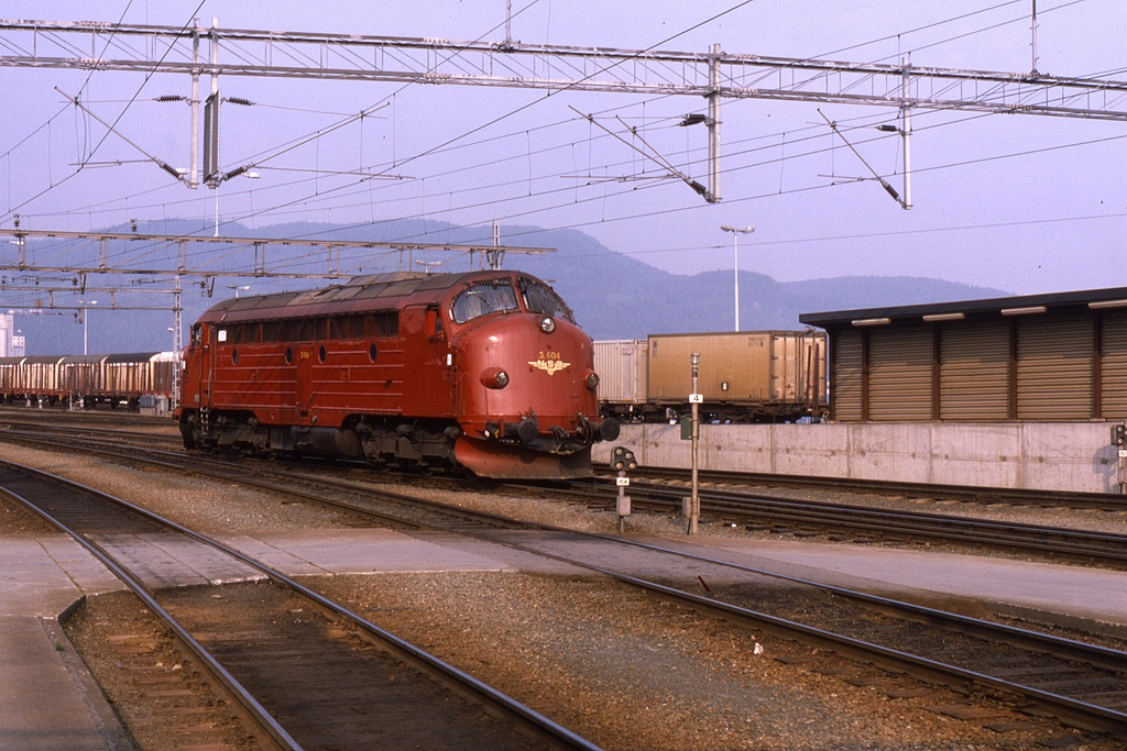 Trondheim, 1986-06-11   Photo: Phil Richards