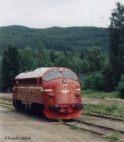 Dokka, 1999-07-04   Photo: Trond Lindahl