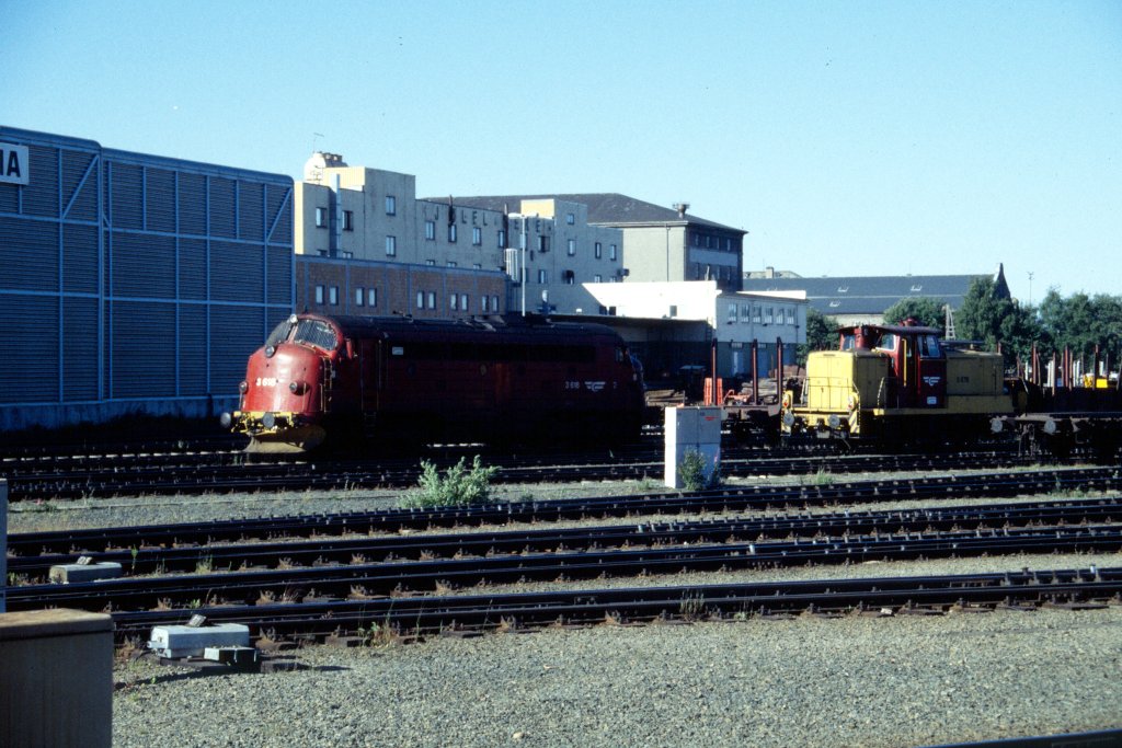 Trondheim, 1994-07-08   Photo: Lolke Bijlsma