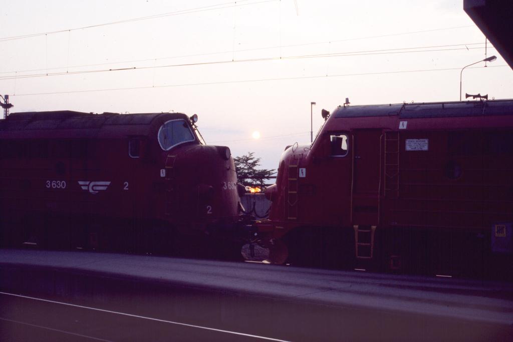 Trondheim (train 306), 1994-07-14   Photo: Lolke Bijlsma