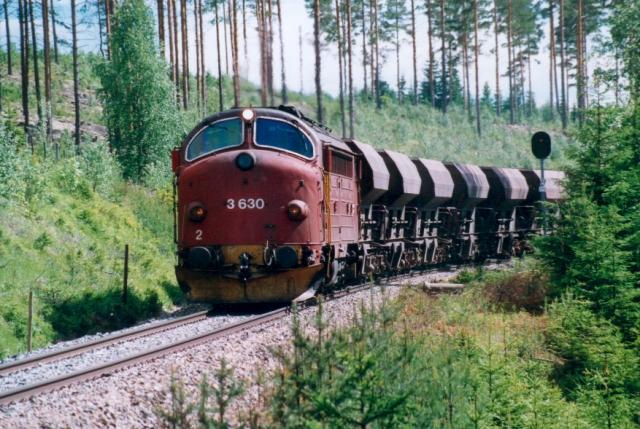 North of Koppang, Summer 1999  Photo: Kjetil Johnsen 