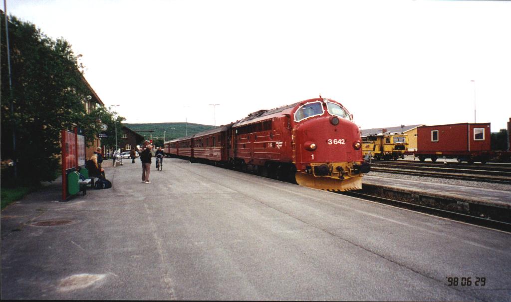 Røros, 1998-06-29 Photo: Steinar Braaten