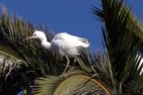 Palo Alto Baylands