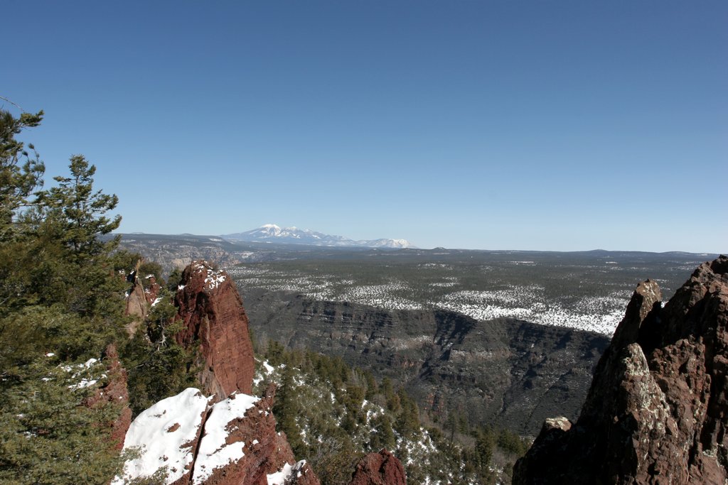 Wilson Mountain (summit)   2005-03-15