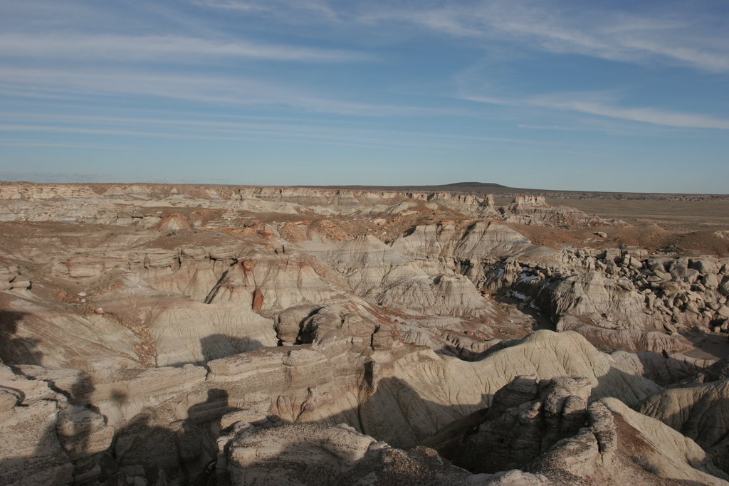 Petrified Forest   2005-03-16