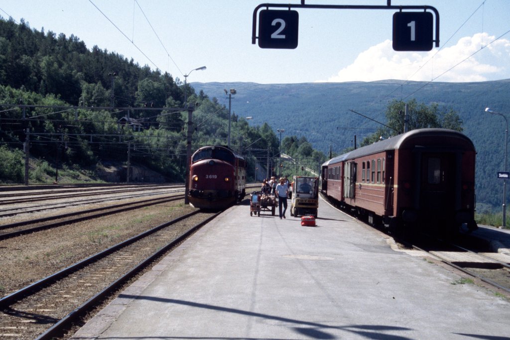 Di3.619 just arrived with train 354 1994-07-08