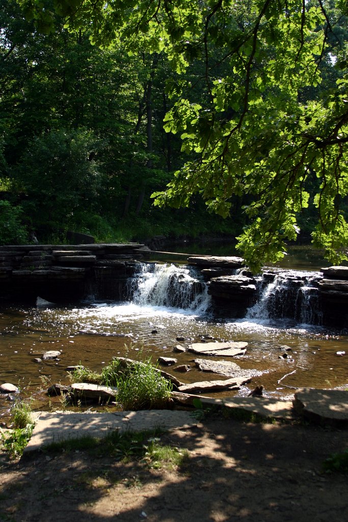 2004-06-06   (Waterfall Glen Forest Preserve)