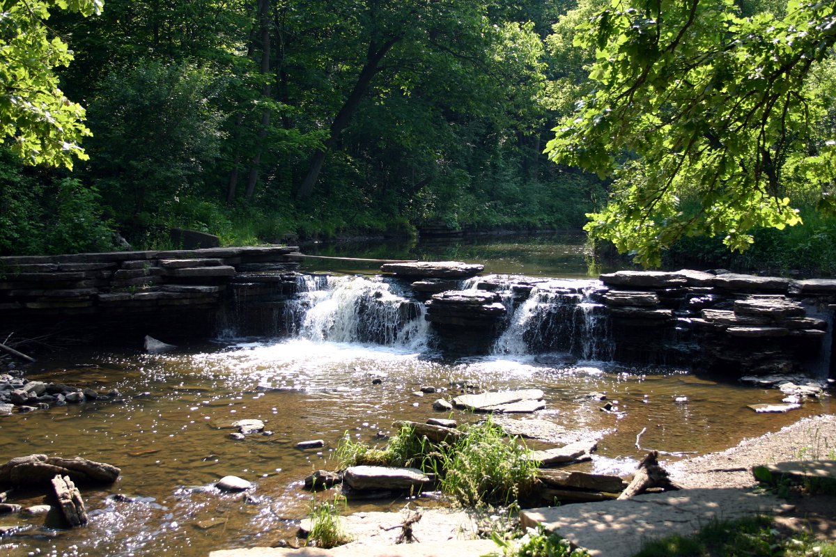 2004-06-06   (Waterfall Glen Forest Preserve)